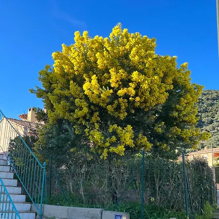 Appartamento St Clair *