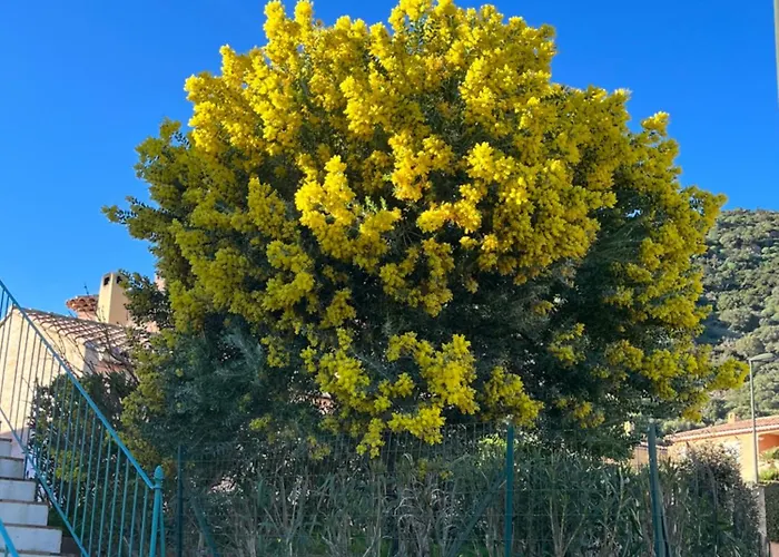 Apartmán St Clair *