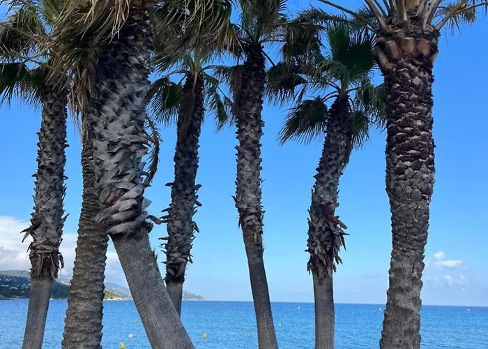 St Clair Apartmán Le Lavandou